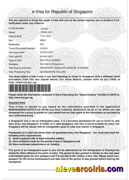 SINGAPORE e-visa